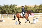 SBM_018041