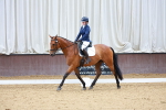SBM_000584