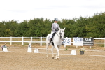 SBM_006312