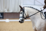 SBM_001880