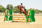 SBM_001568