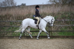SBM_006068