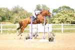 SBM_004627