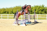 SBM_001886