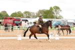 SBM_01564