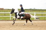 SBM_004035