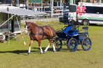 Harness Driving Challenge 31. 0A3A9491