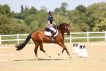 SBM_009029