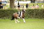 SBM_71574
