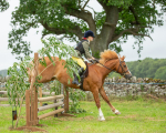 Dunblane show-469
