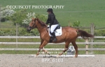 BPP_6103