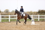 SBM_000654