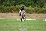 All Dressage portfolio