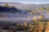 Autumn Mist Brynberian