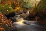 Padley Gorge