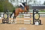 Cls 6 1.10 Amateur Quali & Open portfolio