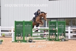 BPP_8677