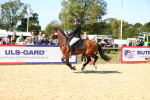 SBM_19037