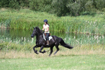 WJ7_8900