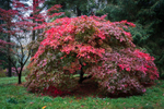 Batsford - 02