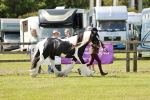 SBM_04298