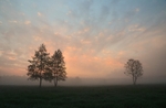 Białowieża, Poland