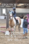 5th OCTOBER 2025 - NST Maranzo Stud Winter Unaffiliated Show Jumping - MUIRMILL EC portfolio
