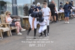 BPP_3517