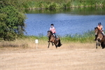 WJ6_8751