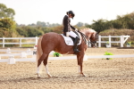 SBM_016870