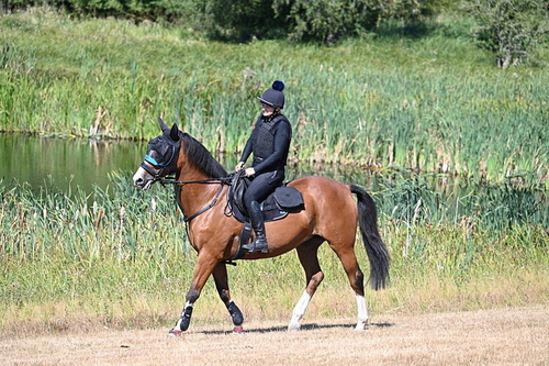 WJ7_7816