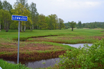 Soomaa National Park, Estonia