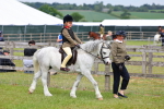 SBM_08066