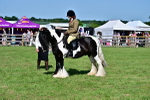 SBM_09368