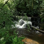 Padley Gorge