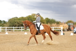 SBM_007403