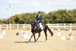 SBM_008797