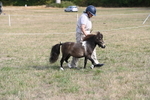 WJ6_6828
