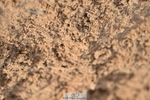 231015A-162540-09334