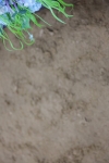 1I0A5979