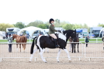 SBM_12019