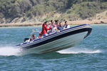 160813 COBRA RIB Y92A2561