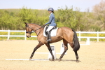 SBM_008397
