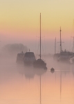 Wareham Channel 3895 v5 tick