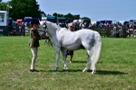 SBM_03889