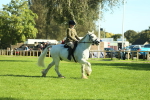 SBM_37380