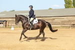 SBM_000365