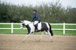 SBM_003487