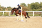 SBM_007895