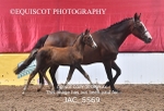 JAC_5569